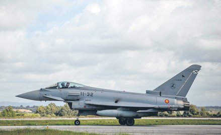 Przykładem wspólnych produktów, które zdobywają wielu użytkowników są samoloty Eurofighter Typhoon, 