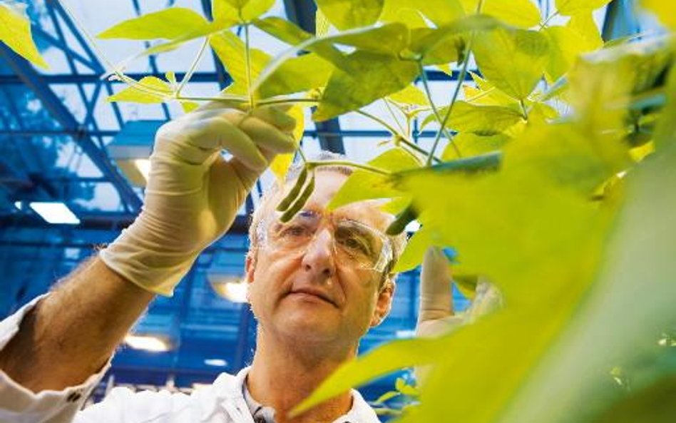 Bayer pomoże zwiększyć plony IMC