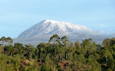 89-latka zdobyła szczyt Kilimandżaro