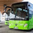 Autokary Flixbus na dworcu autobusowym w Tallinie