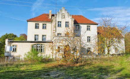 Historia pałacu w Dłużku w gminie Lubsko w woj. lubuskim sięga XVII wieku
