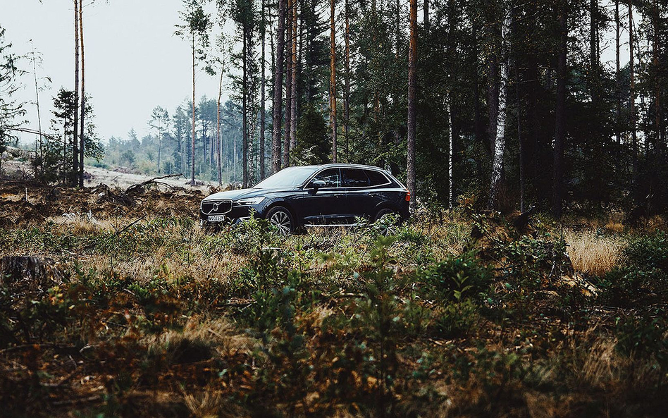 Zasadź las z Volvo