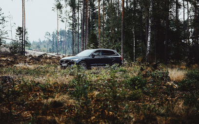 Zasadź las z Volvo