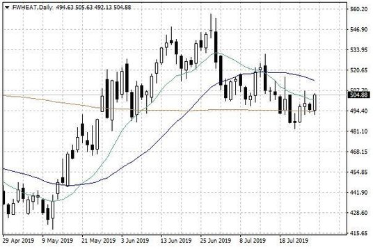 Notowania pszenicy w USA – dane dzienne