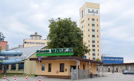 Tauron sfinalizował zakup kopalni Brzeszcze