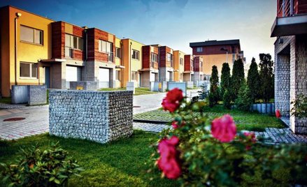 Miłe Zacisze w Katowicach