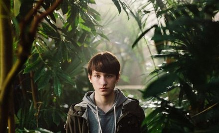 Kadr w filmu "Królewicz olch"