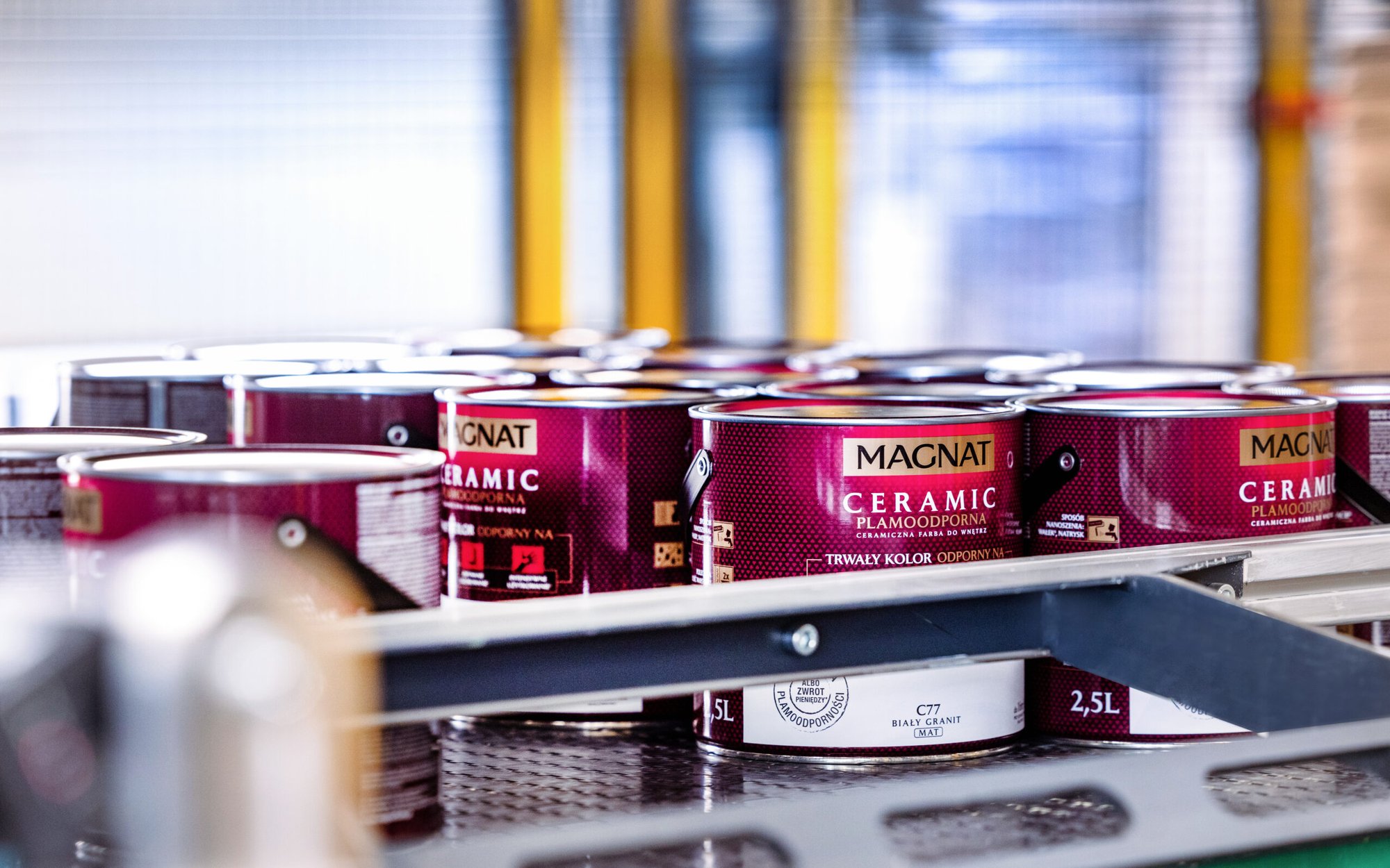 Wyniki Śnieżki nie sprostały oczekiwaniom rynku