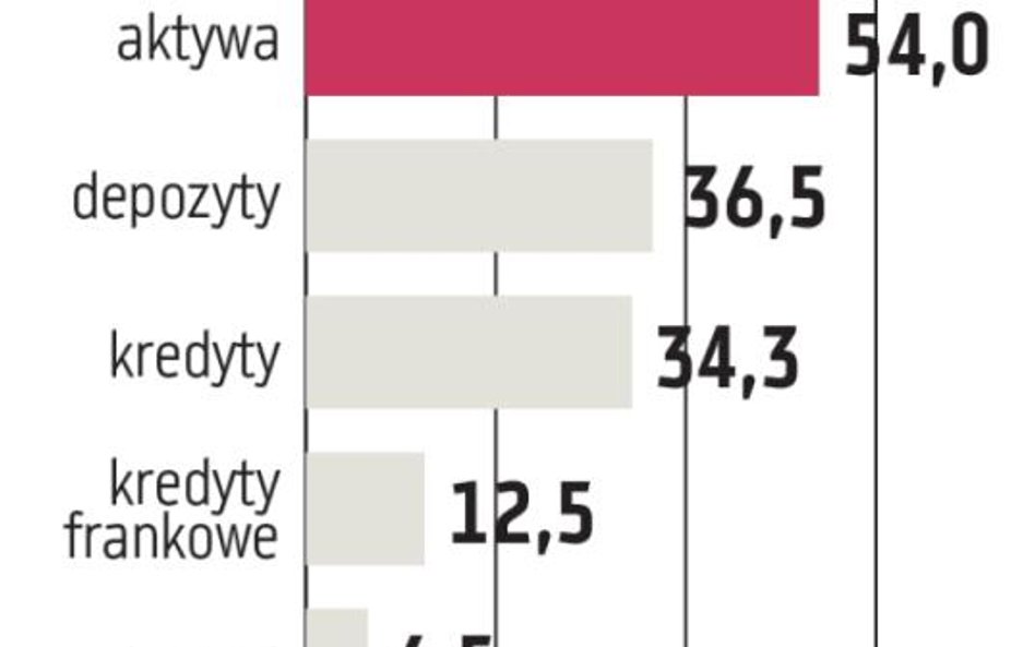 Raiffeisen Polbank. Dalsze losy banku w rękach regulatora