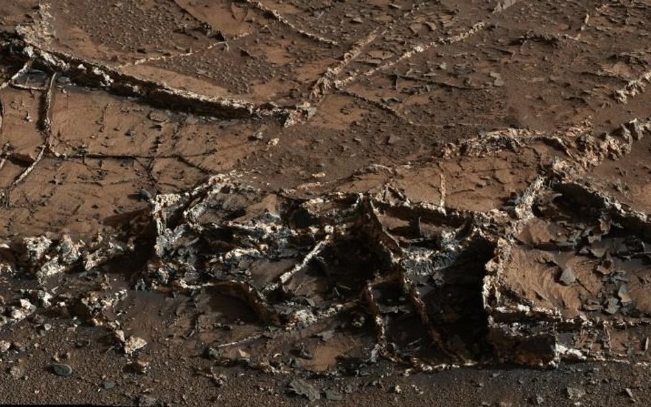 Zdjęcie wykonane przez łazik marsjański z misji Curiosity (AFP PHOTO HANDOUT-NASA/JPL-CALTECH/MSSS)