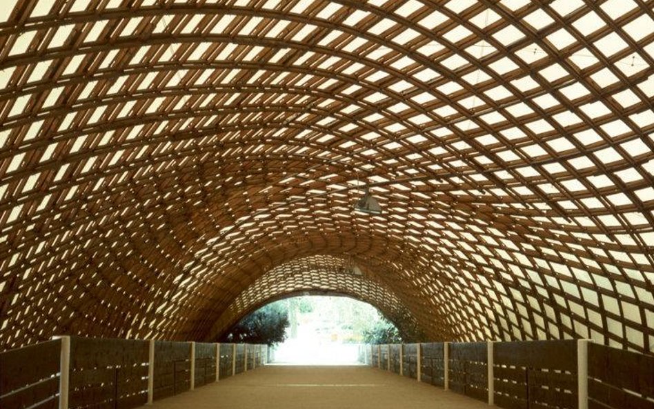 Dach Multihalle w Mannheim