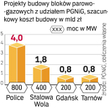 Realizacja tych projektów może spowodować trzykrotny wzrost ilości gazu zużywanego na potrzeby energ