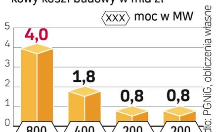 Realizacja tych projektów może spowodować trzykrotny wzrost ilości gazu zużywanego na potrzeby energ