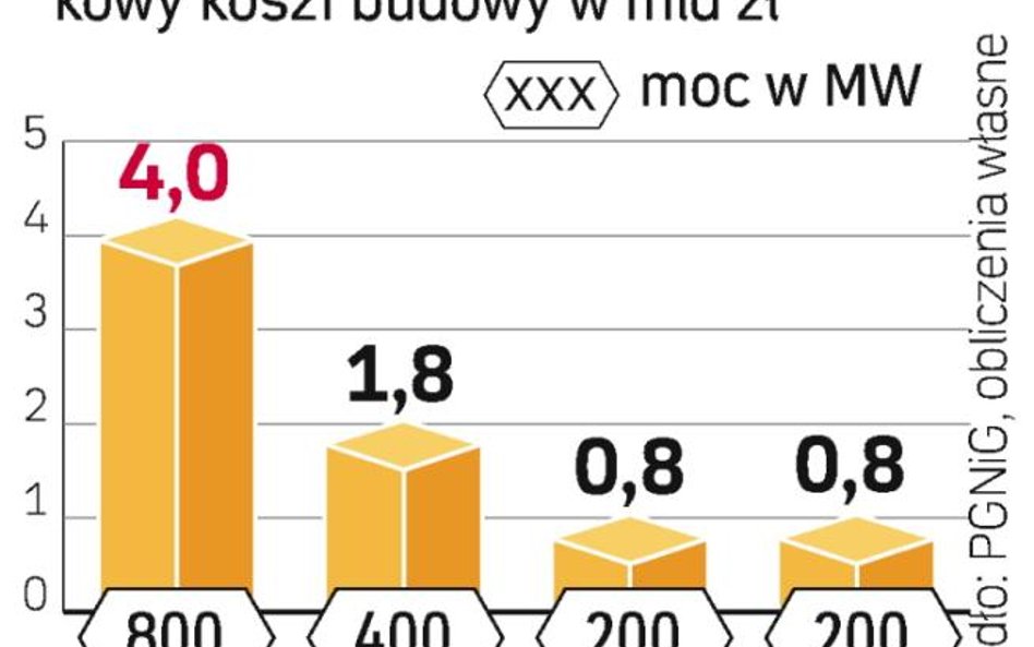 Realizacja tych projektów może spowodować trzykrotny wzrost ilości gazu zużywanego na potrzeby energ