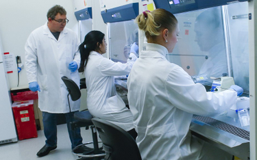 Laboratorium w Hackensack Meridian Health Center for Discovery and Innovation opracowuje testy na ko