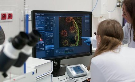Laboratorium w uniwersyteckim Parku Naukowo-Technologicznym. Fot. Krzysztof Burda