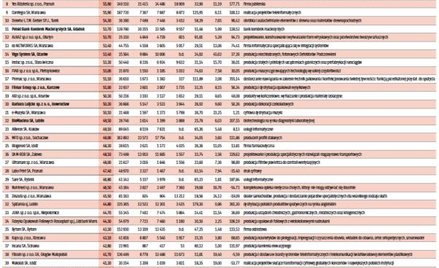 Oto liderzy polskiego sektora MŚP