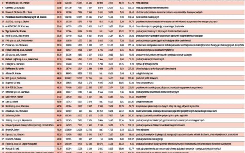 Oto liderzy polskiego sektora MŚP