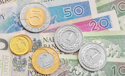 Czy w tym roku złoty utrzyma swoją siłę względem kluczowych walut?