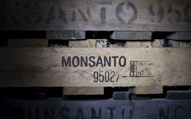 Amerykanie zgadzają się na sprzedaż Monsanto
