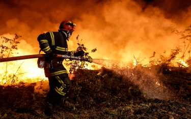Coraz częstsze fale upałów wywołujących pożary trawiące tysiące hektarów powierzchni... Fot. THIBAUD
