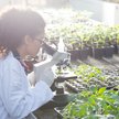 Inwestowanie w biotechnologię nie jest łatwe: potencjalna ponadprzeciętna stopa zwrotu okupiona jest