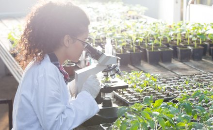 Inwestowanie w biotechnologię nie jest łatwe: potencjalna ponadprzeciętna stopa zwrotu okupiona jest