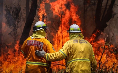 Australijscy strażacy walczą z ogniem w Nowej Południowej Walii