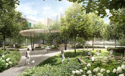 Przy Sienkiewicza w miesjcu parkingu ma powstać wyspa zieleni, to jej wizja według architektów