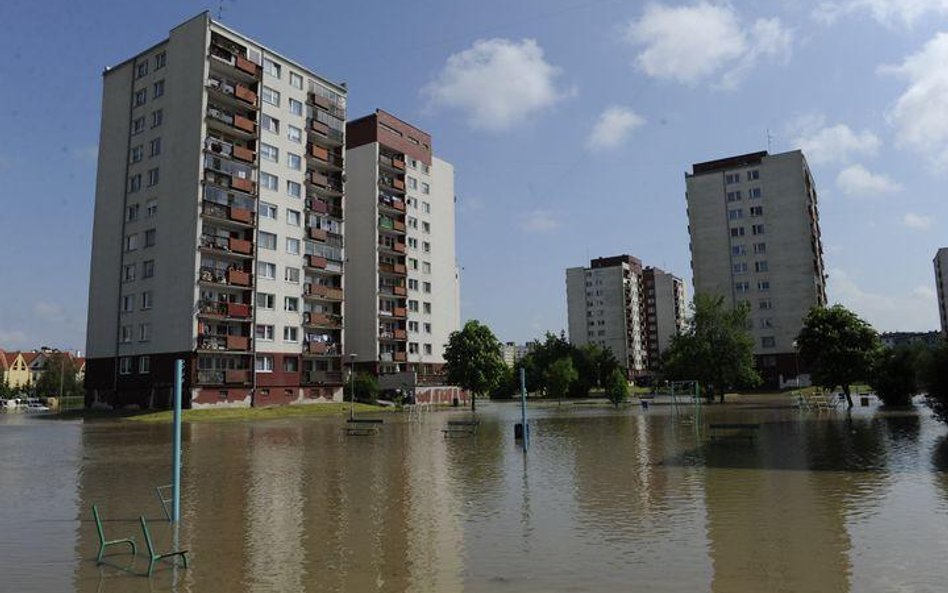 Zawiodła budowa awaryjnego wału we Wrocławiu