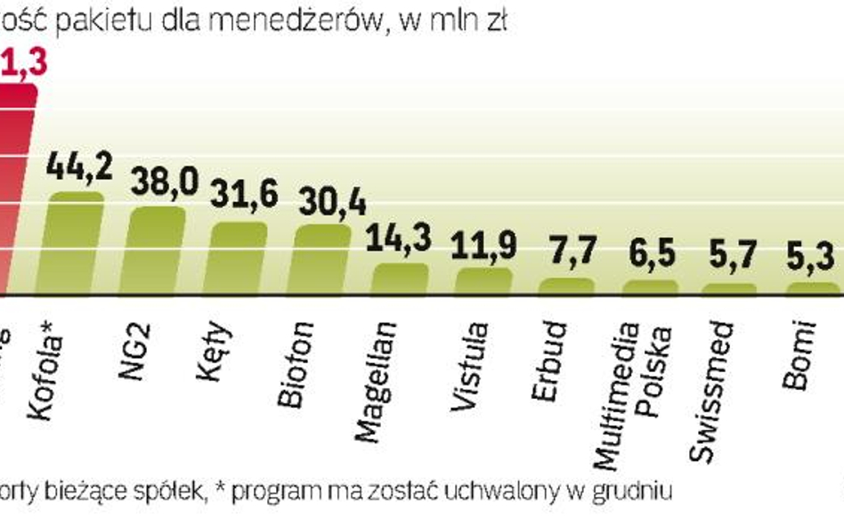 Opcje menedŻerskie w firmach giełdowych. W sumie korzysta z nich ponad 100 spółek z GPW. Ich wartość