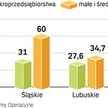 Mikroprzedsiębiorstwom będzie łatwiej o dotacje