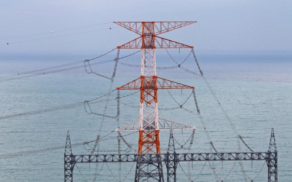 Według rządowych planów, w Polsce mają być za kilkanaście lat uruchomione dwie elektrownie atomowe, 