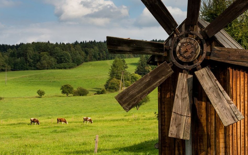 Do Malowanych Wierchów w Gładyszowie przyjeżdżają goście, którzy poszukują piękniej przyrody, niespo