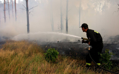 80 procentom lasów grozi pożar