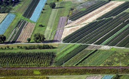 Czy można żądać wydania działki, gdy nie było działu spadku?