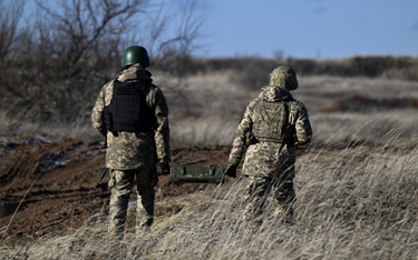 USA i Niemcy sprzeciwiają się szybkiemu przystąpieniu Ukrainy do NATO