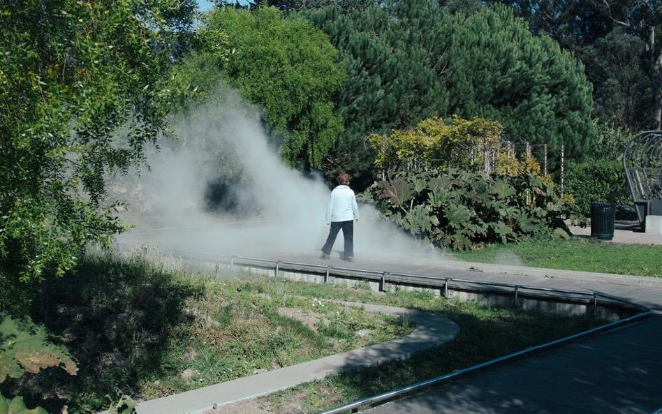 Qian Zhao, Ścinek, krawędź, Wystawa Road Trips