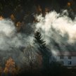Smog a rak pęcherza moczowego - środowisko jako rosnący czynnik ryzyka nowotworów