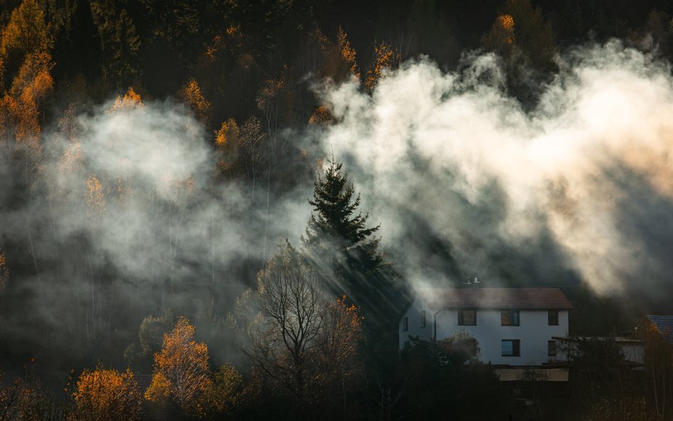 Smog a rak pęcherza moczowego - środowisko jako rosnący czynnik ryzyka nowotworów