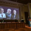 Nagroda Nobla z medycyny: Pokłon dla wszystkich wirusologów