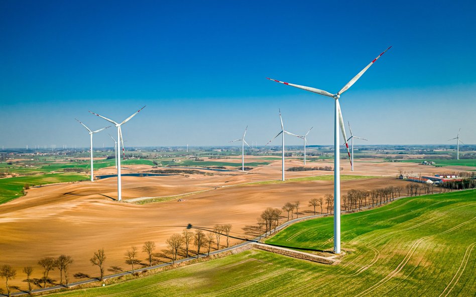 Wedle danych PSE z początku lutego łączna moc zainstalowana elektrowni wiatrowych to ponad 9 GW. Fot