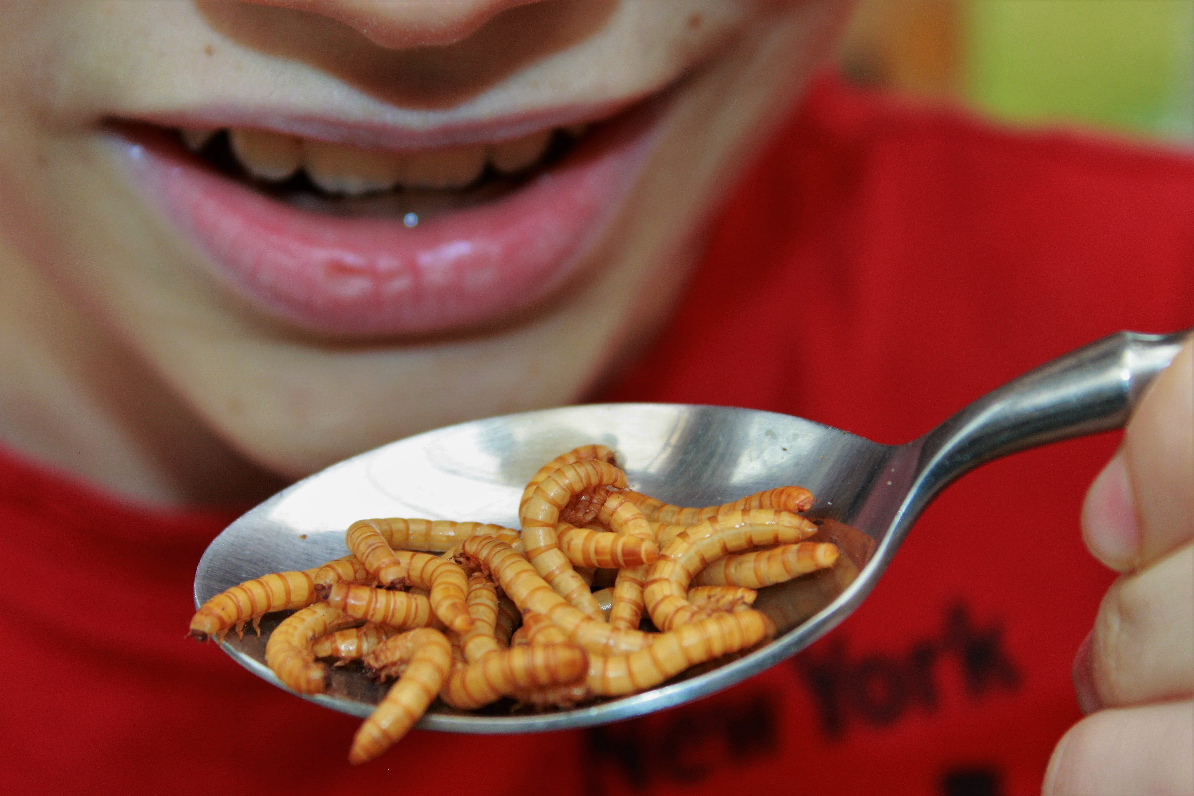 Do naszego jadłospisu trafią algi, glony i owady. Polska może być liderem