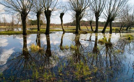 Region coraz szybciej wydaje unijne pieniądze