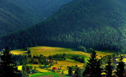 Do zabudowy zagrodowej nie stosuje się wymogu tzw. dobrego sąsiedztwa. Jednak jeśli inwestor ubiega 