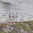Obecne przepisy nie upoważniają gmin do ustanawiania obowiązków usuwania ze ścian budynków ogłoszeń,