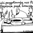 Komentarz rysunkowy