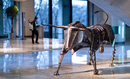 Byki odpoczywają. Kolejny atak szczytowy chwilowo odwołany