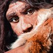Morse, Papagianni. Neandertalczyk odkryty na nowo