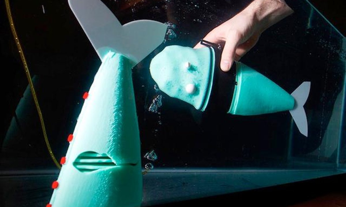 Zalozmy Ze Czlowiek Ryba Robot Poruszają Się Z Podanymi Prędkościami Elastyczny robot — ryba - rp.pl